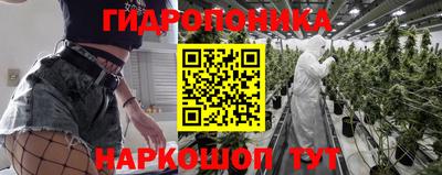трава Лесосибирск